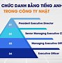 Các Cấp Bậc Tiếng Anh Trong Công Ty