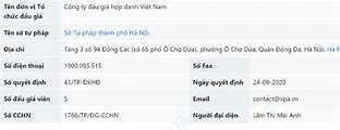 Công Ty Đấu Giá Hợp Danh Việt Nam Của Ai