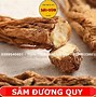 Giá Sâm Đương Quy