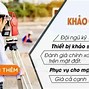 Khảo Sát Địa Hình Phải Có Giấy Phép Đo Đạc Bản Đồ