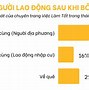 Khảo Sát Người Lao Động