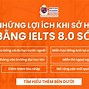 Lộ Trình Ôn Thi Ielts 8.0