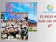 Nữ Đi Xklđ Hàn Quốc Không Cần Bằng Cấp Gì