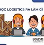 Nữ Học Logistics Ra Làm Gì