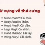 Thú Cưng Vui Vẻ Nhé Mấy Tiếng Tiếng Anh